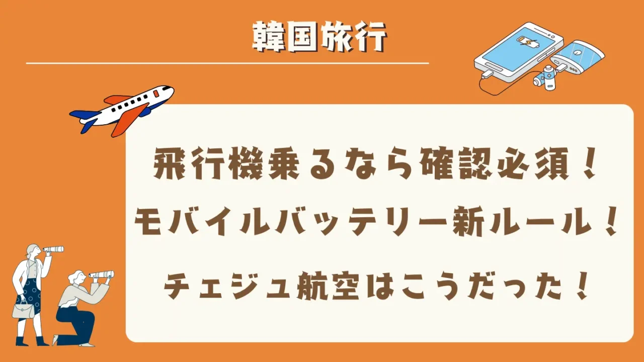 韓国 モバイルバッテリー 電子タバコ 飛行機