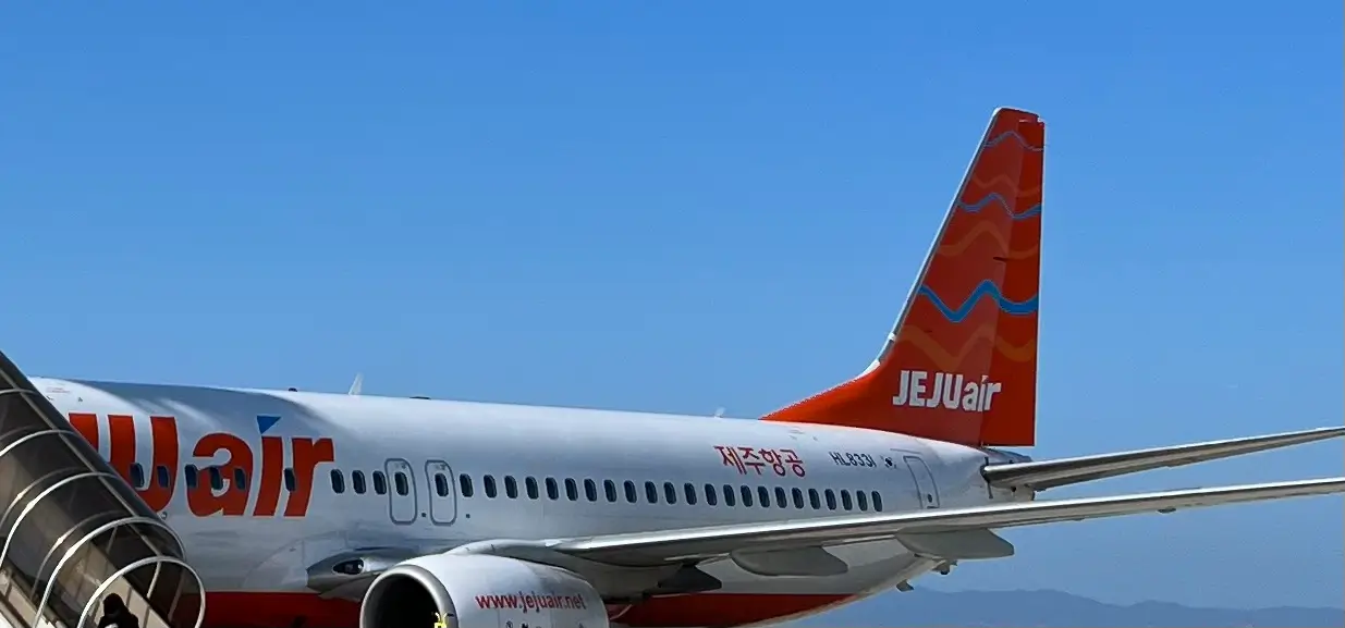 韓国 モバイルバッテリー 電子タバコ 飛行機